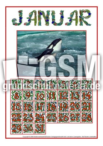 Kalenderblatt-Januar-Tiere.pdf